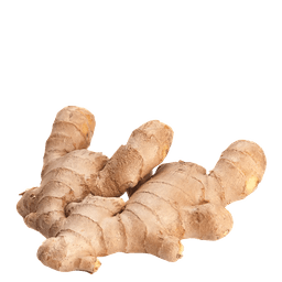 Fresh export-grade ginger rhizomes prepared for shipment