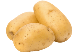 Uniform export-grade potatoes prepared for table and processing use