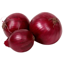 Export-grade red onions with uniform size and cured outer skin